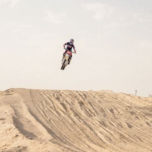 اشتراك الوحش 2