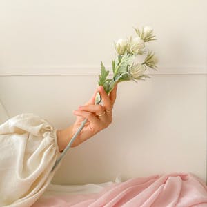 اصابيع بوب جي قماش وكالة رقم 1