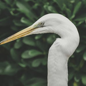 كشاف كهرباء 320