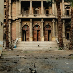 مروحة ابو ماسك وكالة